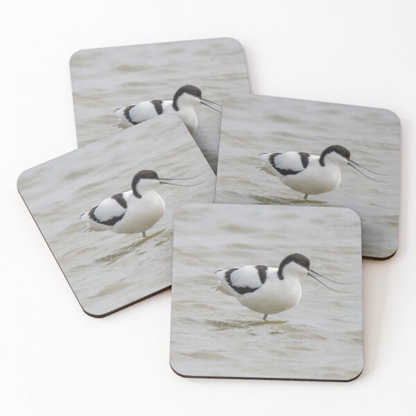 Item preview, Avocet designed and sold by LaurenTucker.
