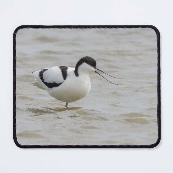 Item preview, Avocet designed and sold by LaurenTucker.