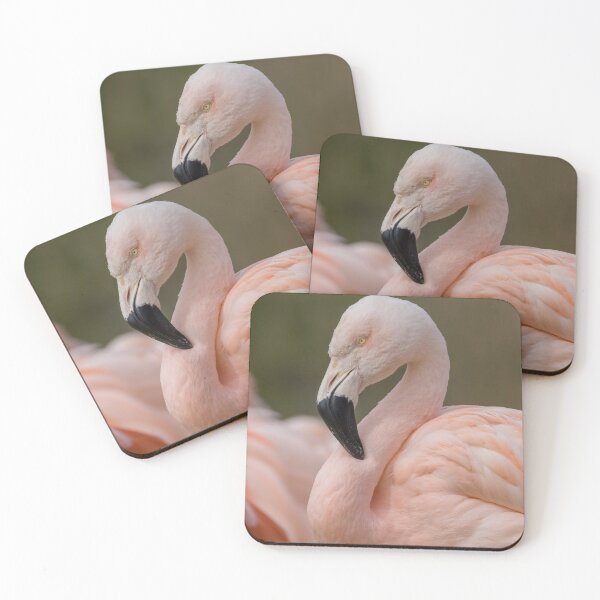 Item preview, Chilean Flamingo designed and sold by LaurenTucker.