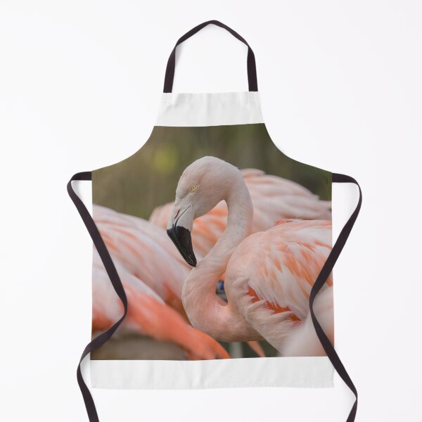Item preview, Chilean Flamingo designed and sold by LaurenTucker.