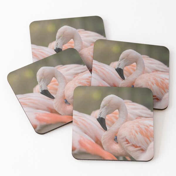 Item preview, Chilean Flamingo designed and sold by LaurenTucker.
