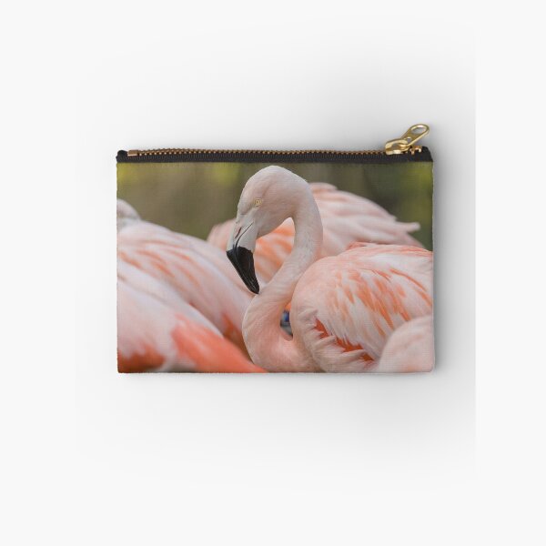 Item preview, Chilean Flamingo designed and sold by LaurenTucker.