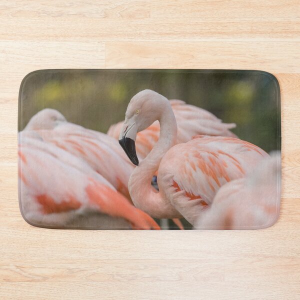 Item preview, Chilean Flamingo designed and sold by LaurenTucker.