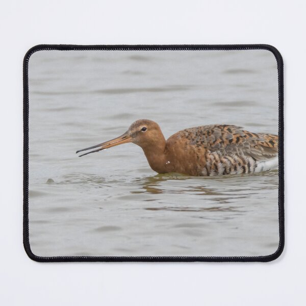 Item preview, Black Tailed Godwit designed and sold by LaurenTucker.