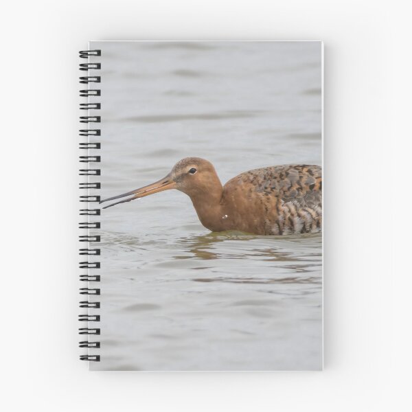 Item preview, Black Tailed Godwit designed and sold by LaurenTucker.