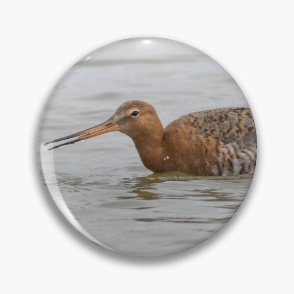 Item preview, Black Tailed Godwit designed and sold by LaurenTucker.