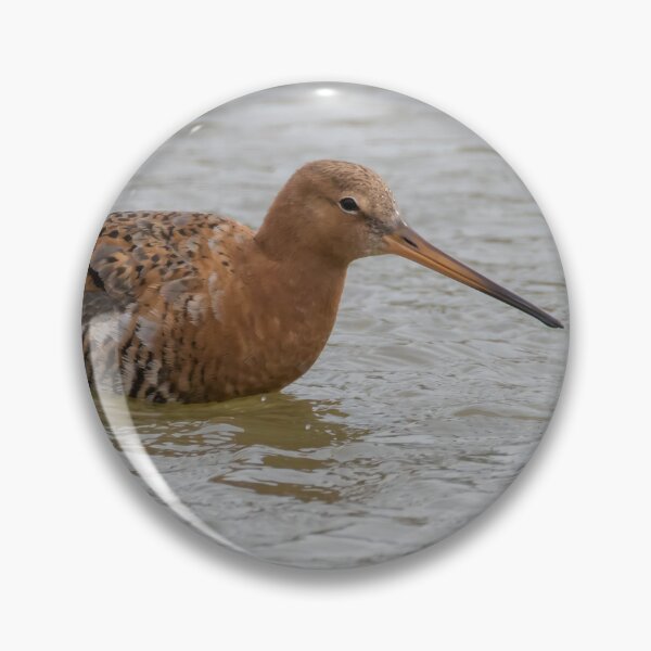 Item preview, Black Tailed Godwit designed and sold by LaurenTucker.