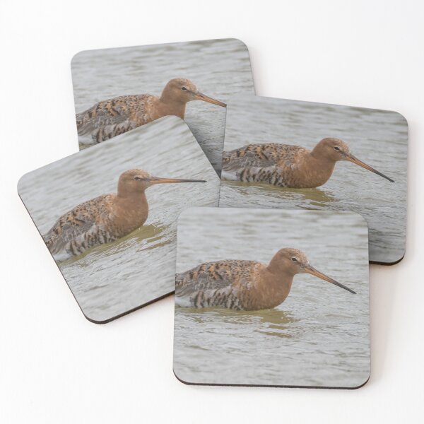 Item preview, Black Tailed Godwit designed and sold by LaurenTucker.