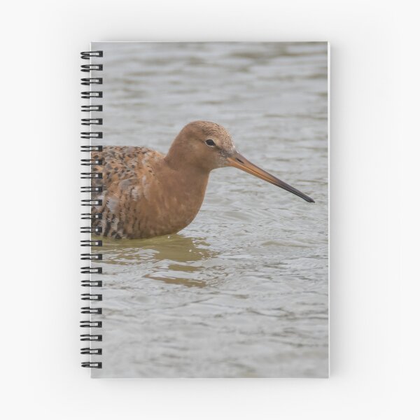 Item preview, Black Tailed Godwit designed and sold by LaurenTucker.