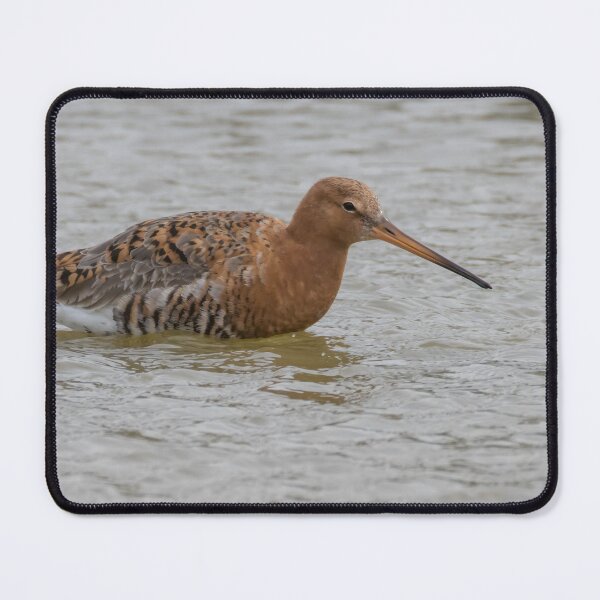 Item preview, Black Tailed Godwit designed and sold by LaurenTucker.