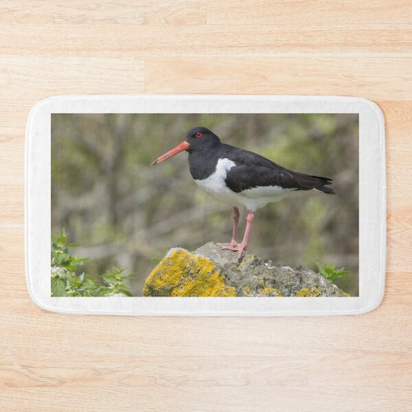 Item preview, Eurasian Oystercatcher designed and sold by LaurenTucker.