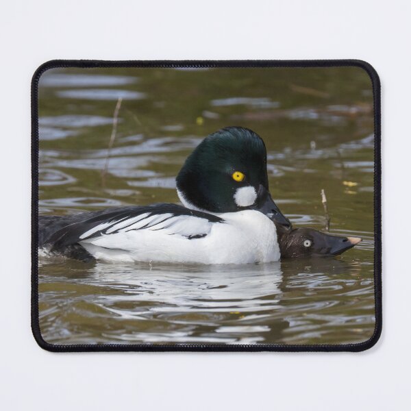 Item preview, Goldeneye designed and sold by LaurenTucker.