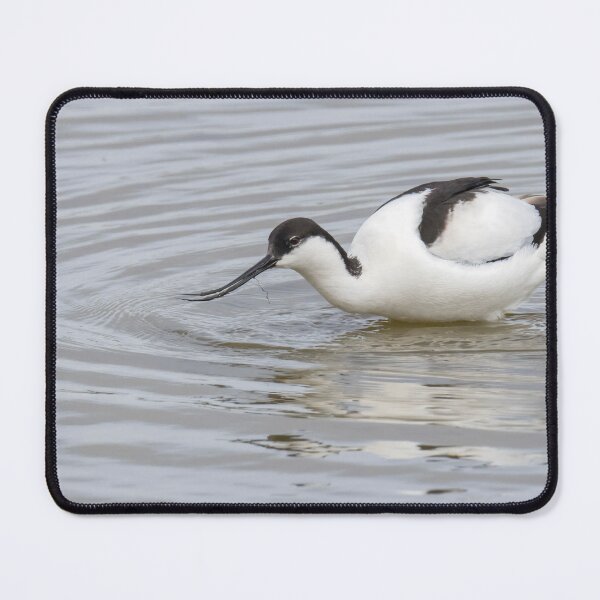 Item preview, Avocet designed and sold by LaurenTucker.