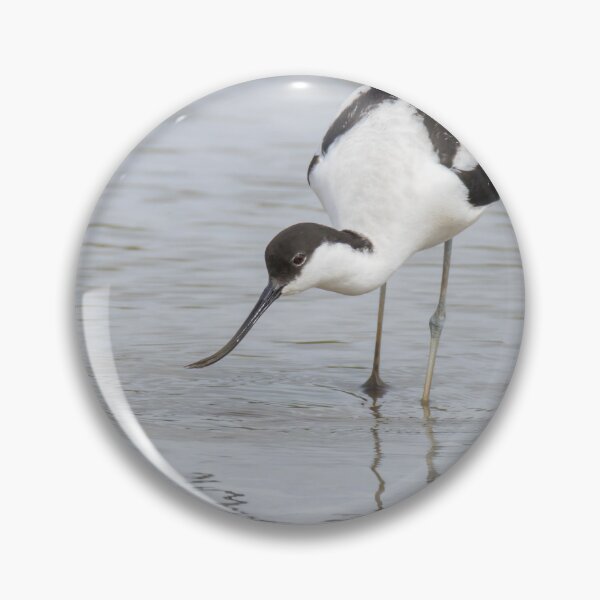 Item preview, Avocet designed and sold by LaurenTucker.