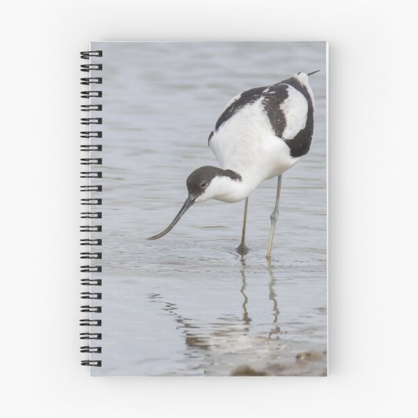 Item preview, Avocet designed and sold by LaurenTucker.