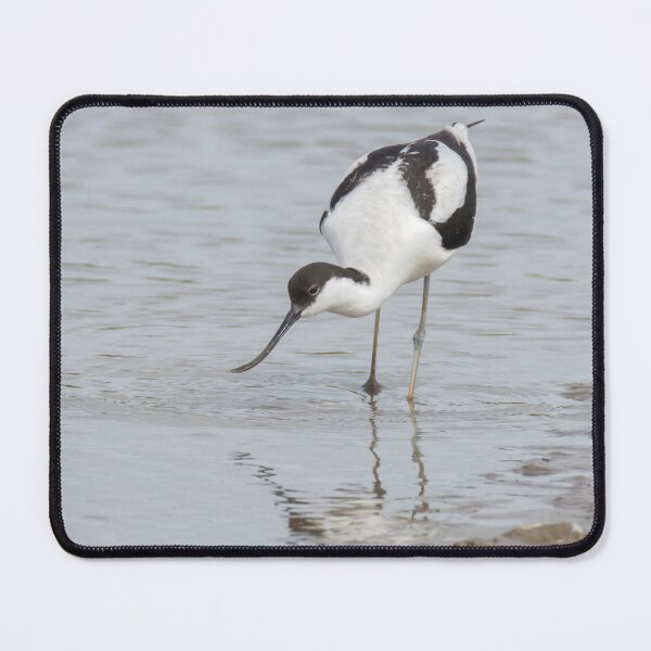 Item preview, Avocet designed and sold by LaurenTucker.