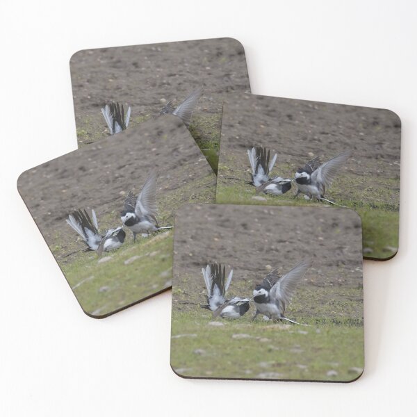 Item preview, Pied Wagtail designed and sold by LaurenTucker.