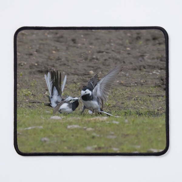 Item preview, Pied Wagtail designed and sold by LaurenTucker.