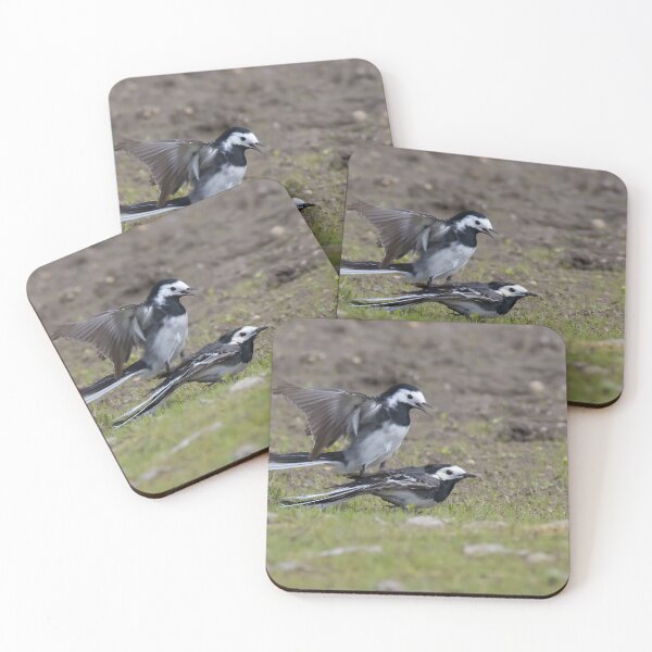 Item preview, Pied Wagtail designed and sold by LaurenTucker.