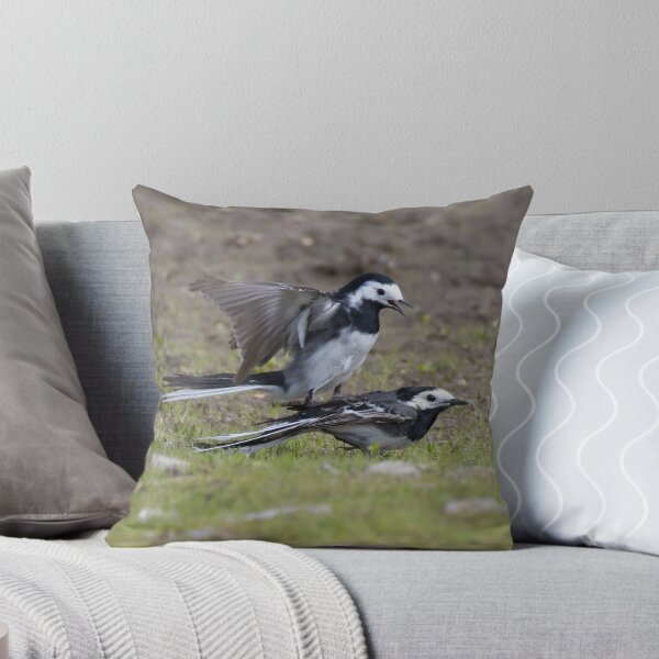 Item preview, Pied Wagtail designed and sold by LaurenTucker.