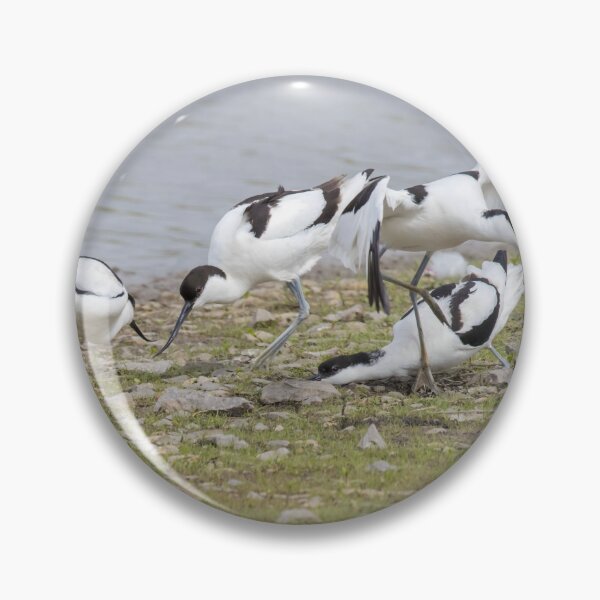 Item preview, Avocet designed and sold by LaurenTucker.