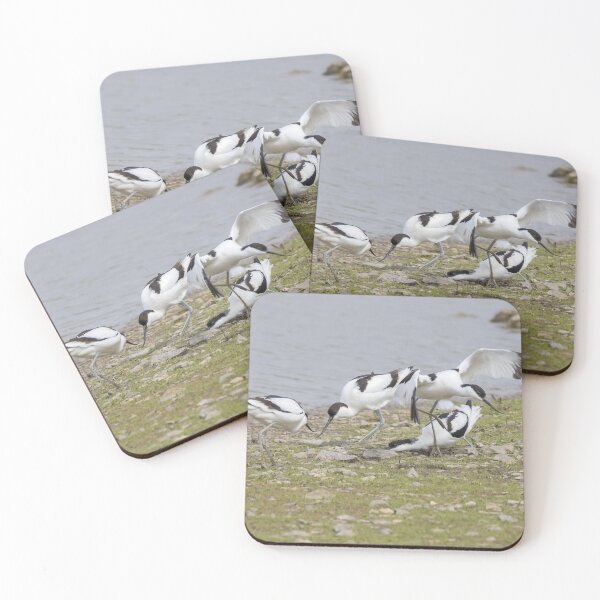 Item preview, Avocet designed and sold by LaurenTucker.