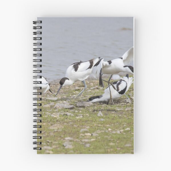 Item preview, Avocet designed and sold by LaurenTucker.