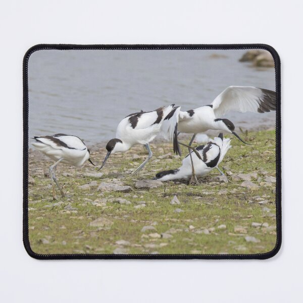 Item preview, Avocet designed and sold by LaurenTucker.