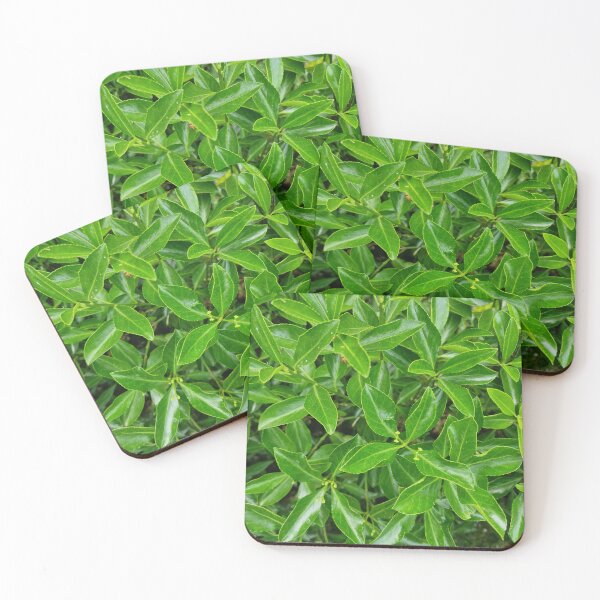 Item preview, Evergreen Cherry Laurel Leaves designed and sold by Gaboro.
