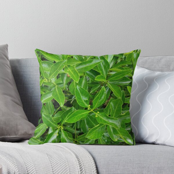 Item preview, Evergreen Cherry Laurel Leaves designed and sold by Gaboro.