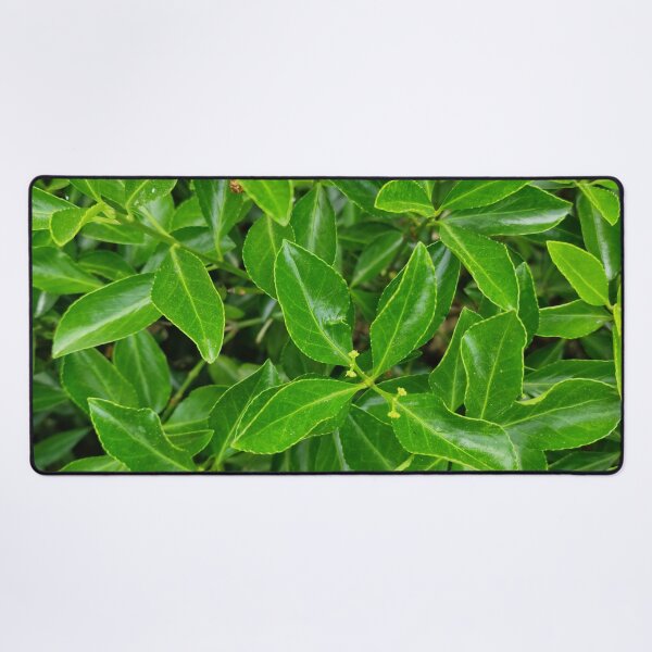 Item preview, Evergreen Cherry Laurel Leaves designed and sold by Gaboro.