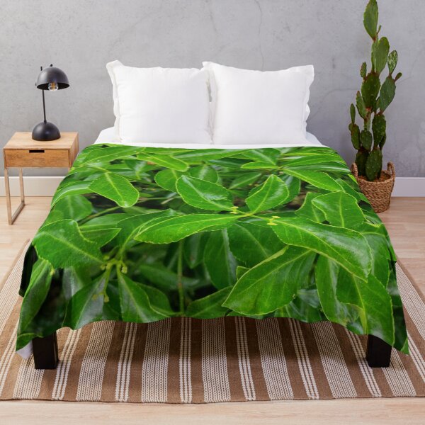 Item preview, Evergreen Cherry Laurel Leaves designed and sold by Gaboro.