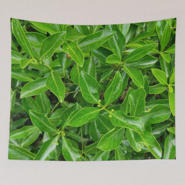 Item preview, Evergreen Cherry Laurel Leaves designed and sold by Gaboro.