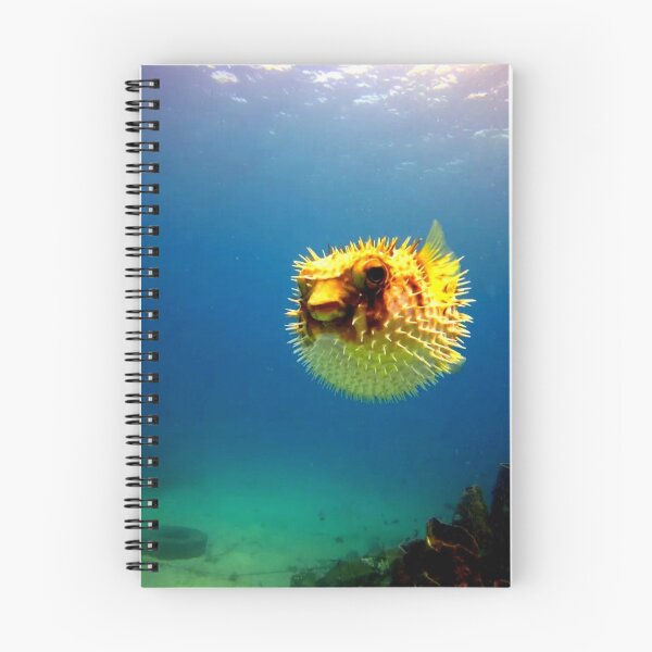 Item preview, Pufferfish  designed and sold by ontological.