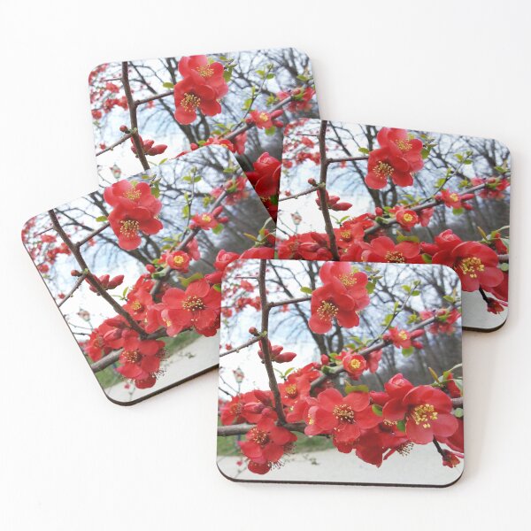 Item preview, Flowering Quince 4 original artwork designed and sold by paragonDesign28.