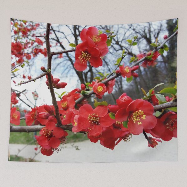 Item preview, Flowering Quince 4 original artwork designed and sold by paragonDesign28.