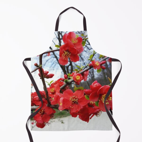 Item preview, Flowering Quince 4 original artwork designed and sold by paragonDesign28.