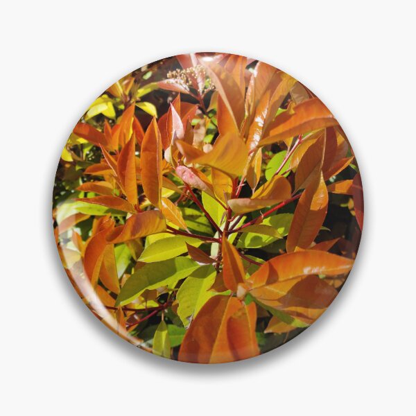 Item preview, Japanese Photinia Leaves designed and sold by Gaboro.