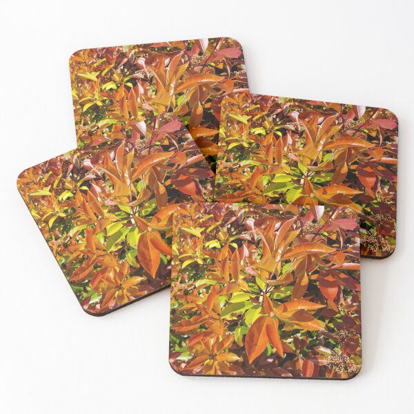 Item preview, Japanese Photinia Leaves designed and sold by Gaboro.