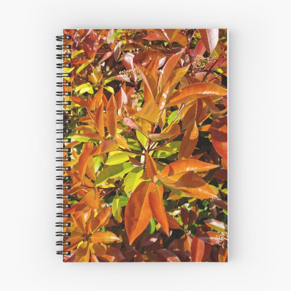 Item preview, Japanese Photinia Leaves designed and sold by Gaboro.
