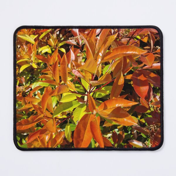 Item preview, Japanese Photinia Leaves designed and sold by Gaboro.