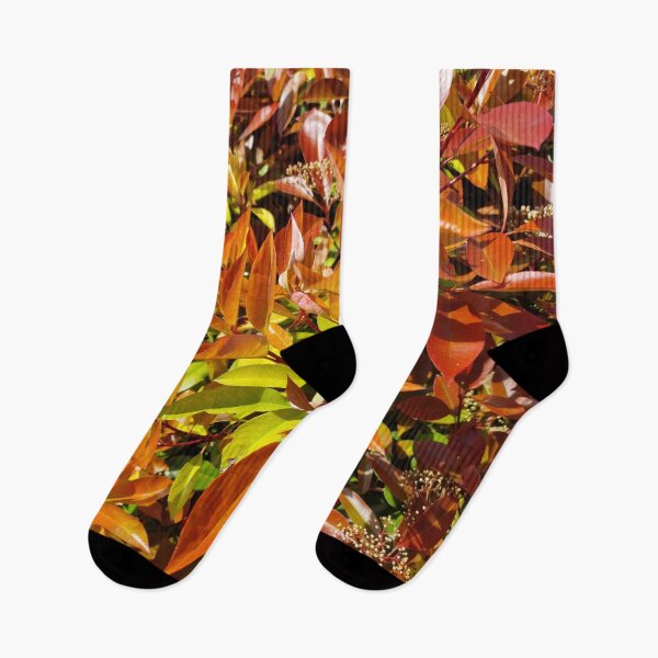 Item preview, Japanese Photinia Leaves designed and sold by Gaboro.