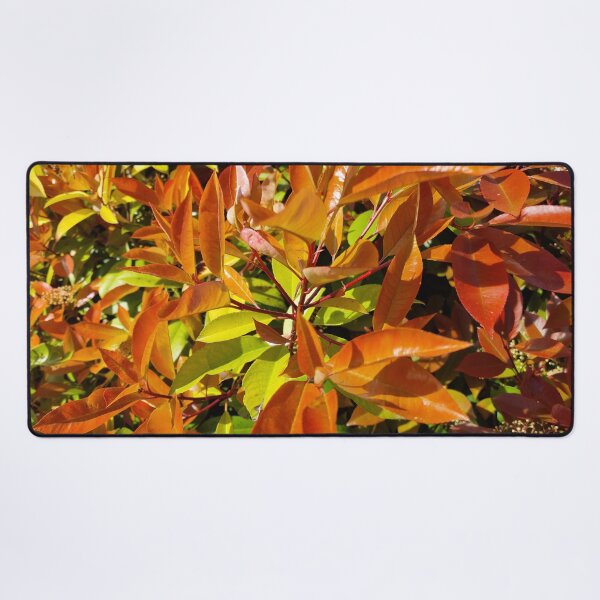 Item preview, Japanese Photinia Leaves designed and sold by Gaboro.