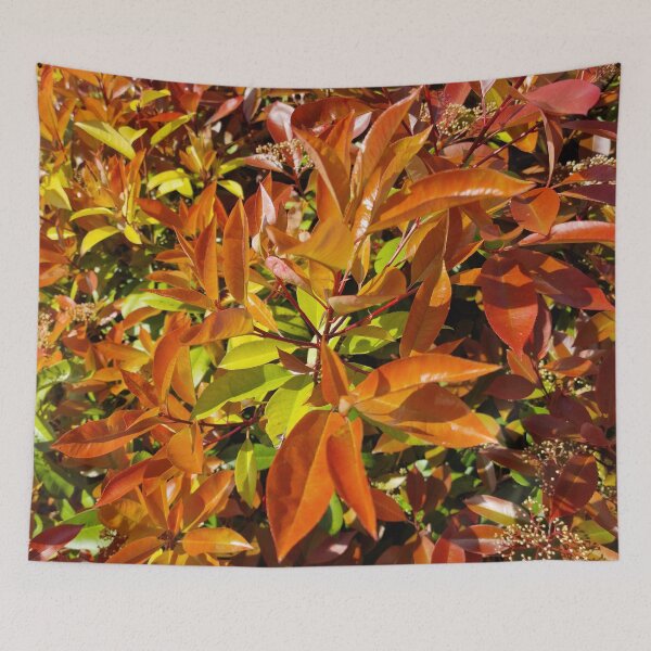 Item preview, Japanese Photinia Leaves designed and sold by Gaboro.