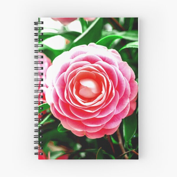 Item preview, Camelia  designed and sold by ontological.