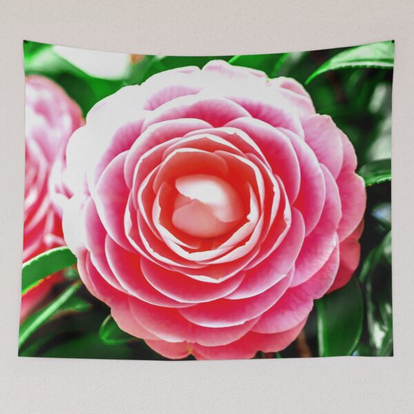 Item preview, Camelia  designed and sold by ontological.