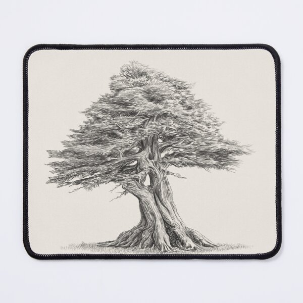 Item preview, Tree Cedar - Pencil Sketch - Back and White  designed and sold by kolonjArt.