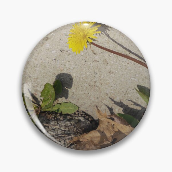 Item preview, Dandelions Pushing Up in the City designed and sold by Gerda Grice Photography.