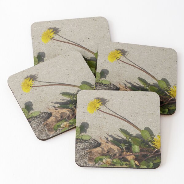Item preview, Dandelions Pushing Up in the City designed and sold by Gerda Grice Photography.