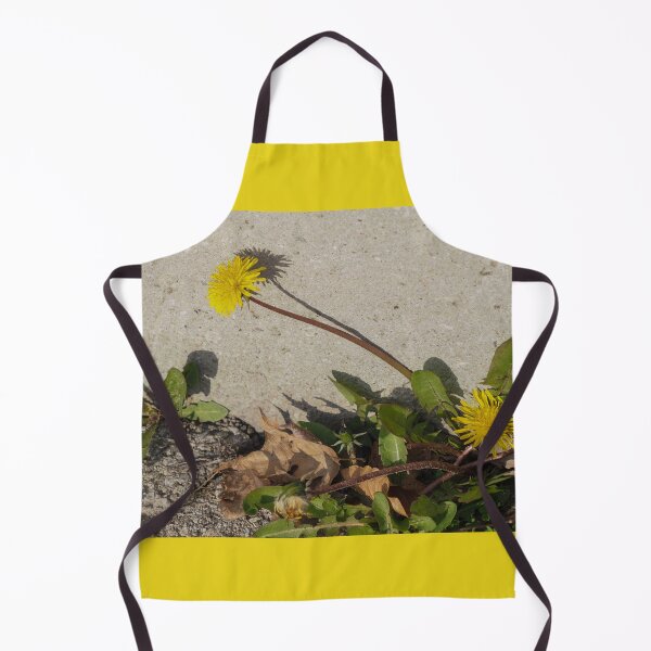 Item preview, Dandelions Pushing Up in the City designed and sold by Gerda Grice Photography.